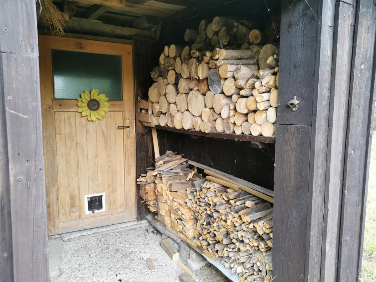 Apartament Ferienhaus Natur Pur Thale Zewnętrze zdjęcie