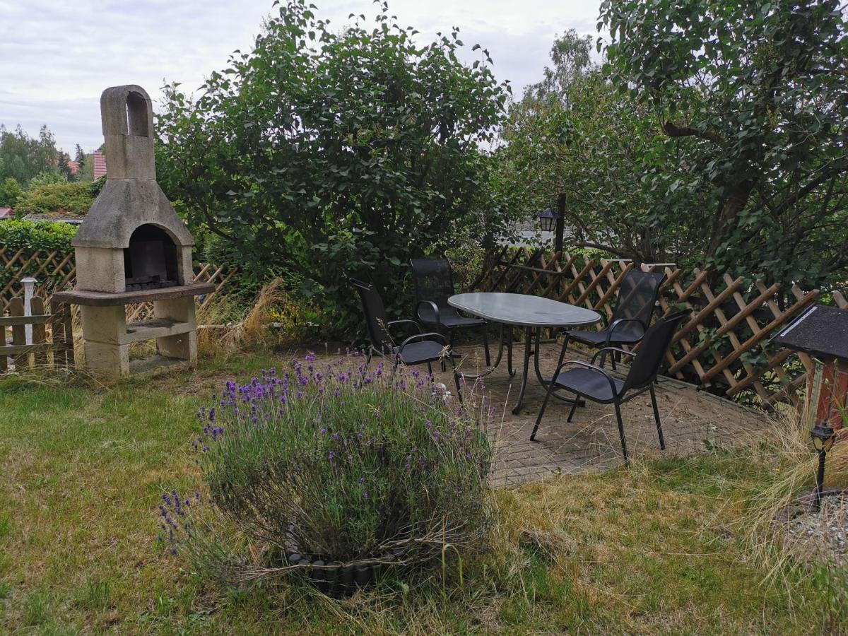 Apartament Ferienhaus Natur Pur Thale Zewnętrze zdjęcie
