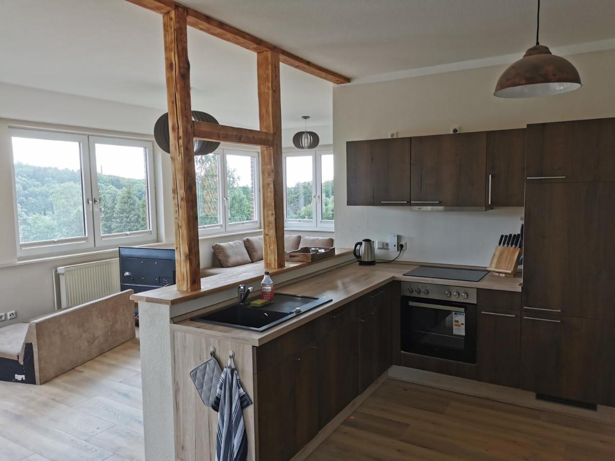 Apartament Ferienhaus Natur Pur Thale Zewnętrze zdjęcie