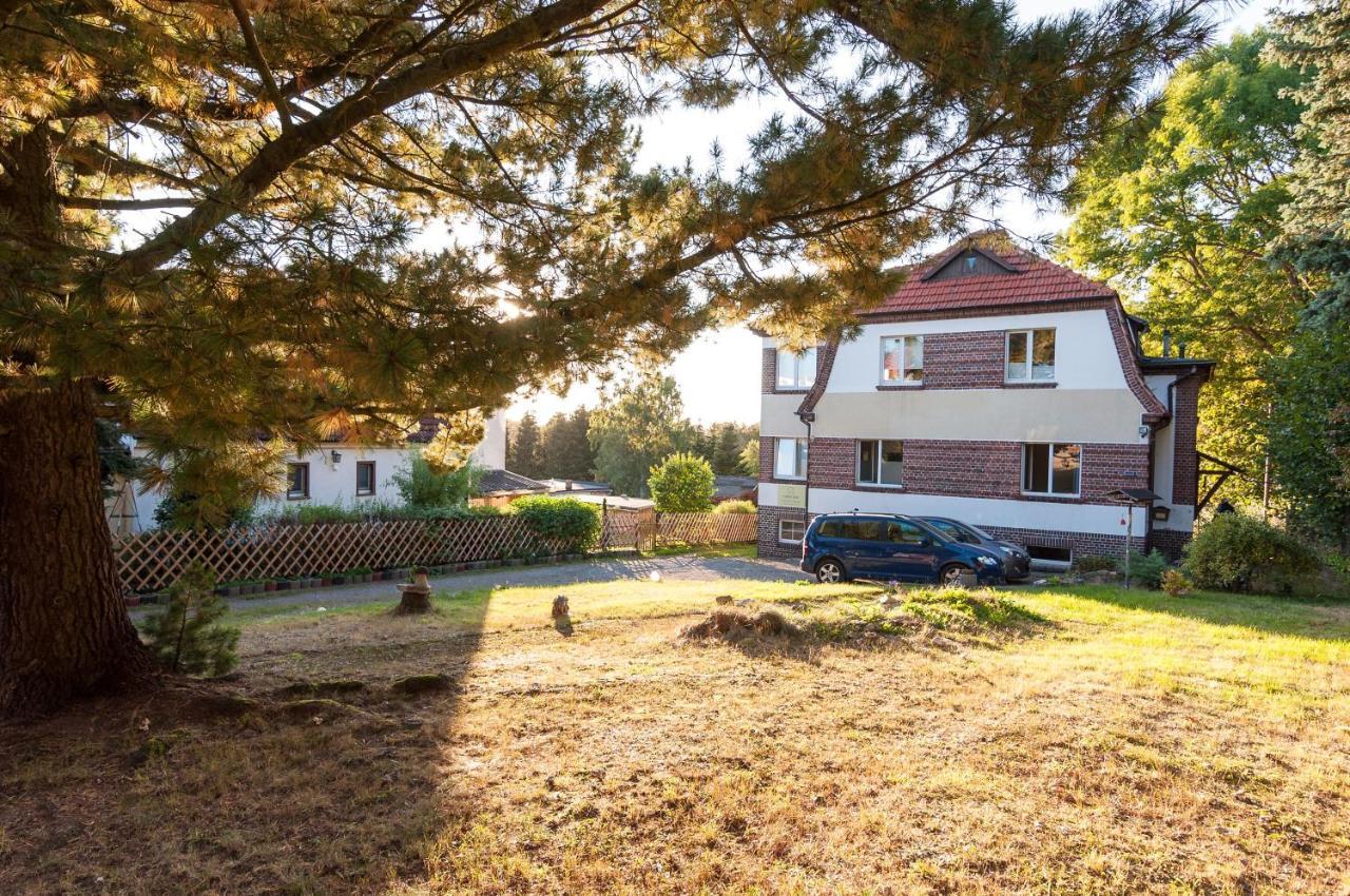 Apartament Ferienhaus Natur Pur Thale Zewnętrze zdjęcie