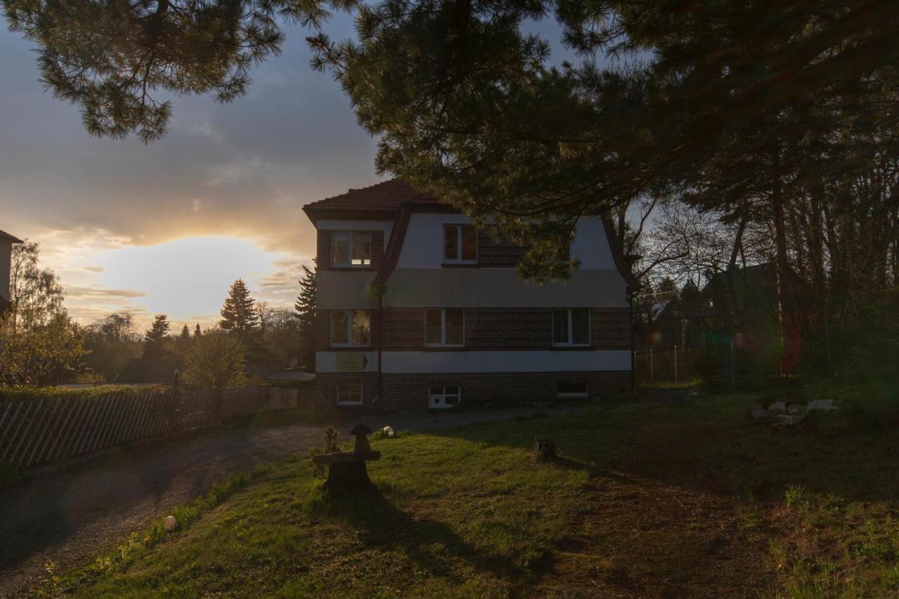 Apartament Ferienhaus Natur Pur Thale Zewnętrze zdjęcie